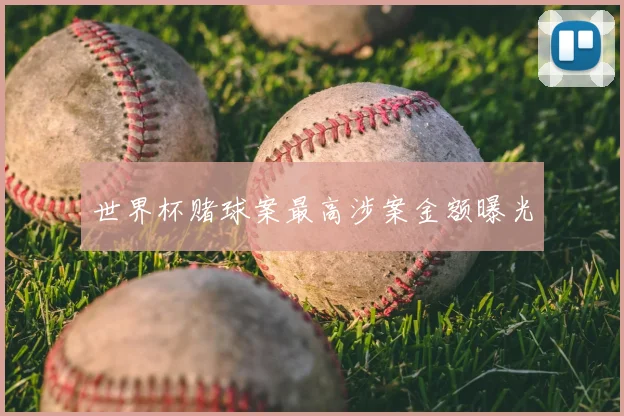 世界杯赌球案最高涉案金额曝光