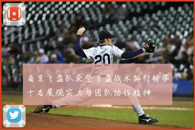 南京飞盘队荣登飞盘战术排行榜第十名展现实力与团队协作精神