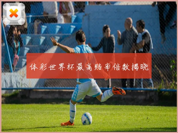 体彩世界杯最高赔率倍数揭晓
