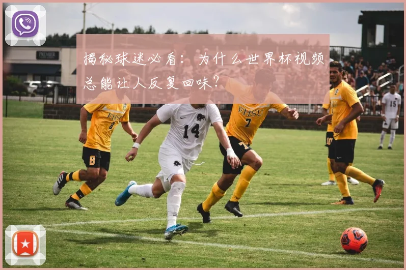 揭秘球迷必看：为什么世界杯视频总能让人反复回味？