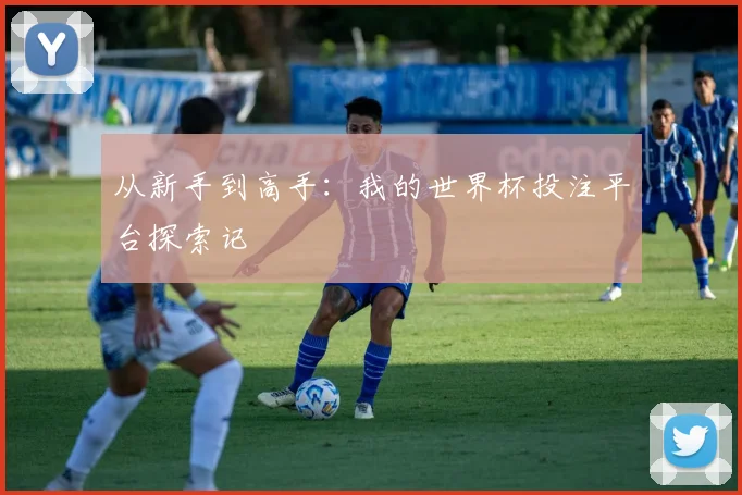 从新手到高手：我的世界杯投注平台探索记