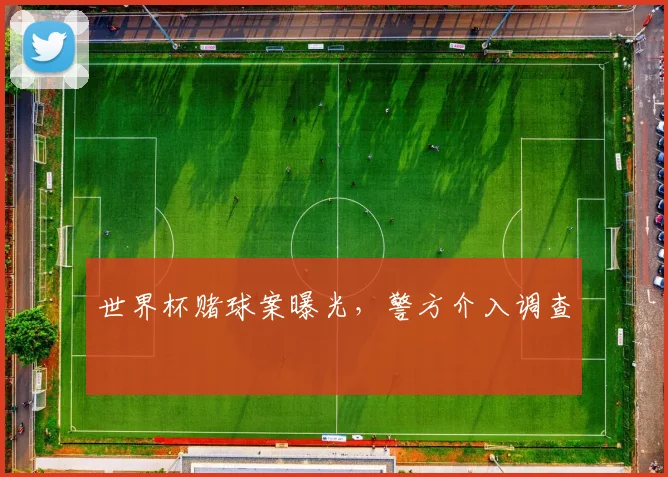 世界杯赌球案曝光,警方介入调查