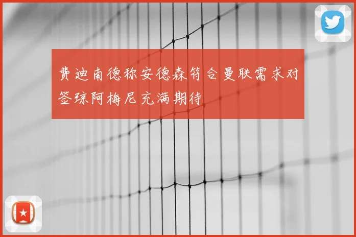 费迪南德称安德森符合曼联需求对签琼阿梅尼充满期待