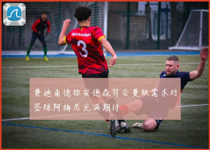 费迪南德称安德森符合曼联需求对签琼阿梅尼充满期待
