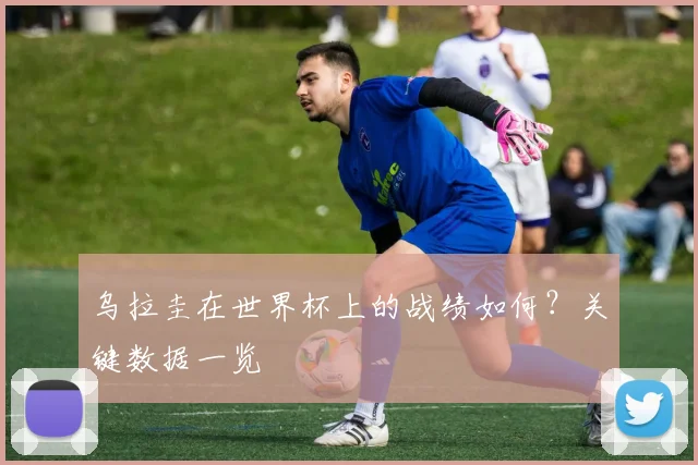 乌拉圭在世界杯上的战绩如何？关键数据一览