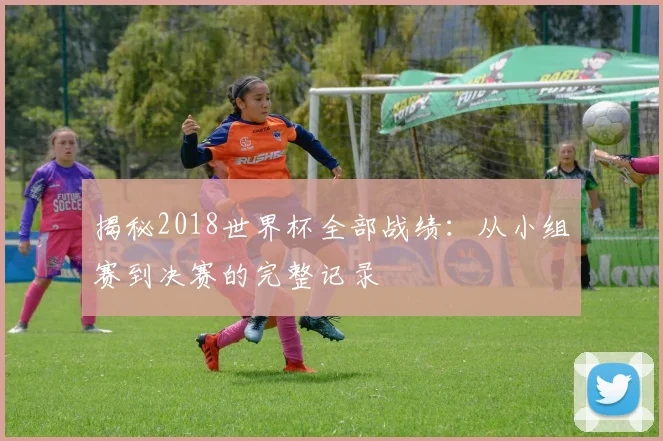 揭秘2018世界杯全部战绩：从小组赛到决赛的完整记录