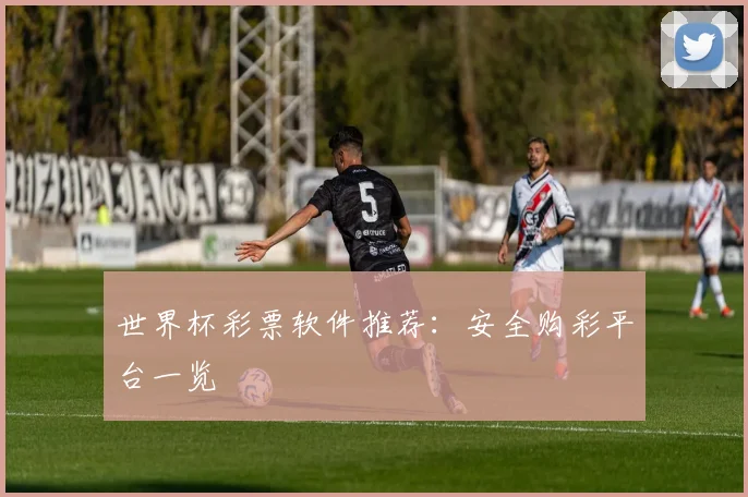 世界杯彩票软件推荐:安全购彩平台一览