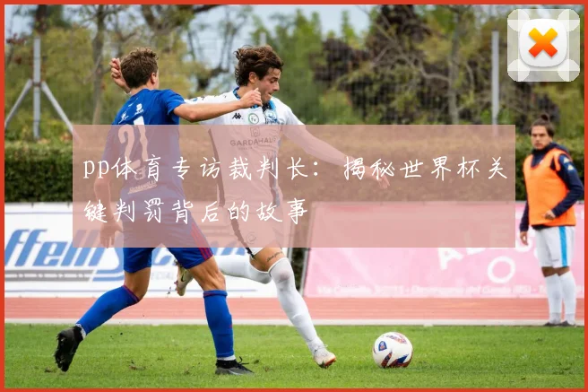 pp体育专访裁判长:揭秘世界杯关键判罚背后的故事