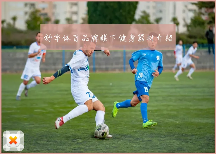 舒华体育品牌旗下健身器材介绍